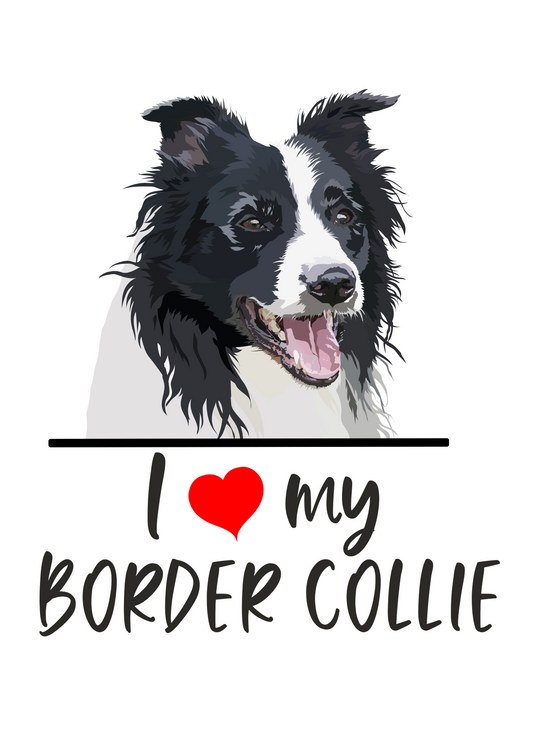 I Love My Border Collie Sticker