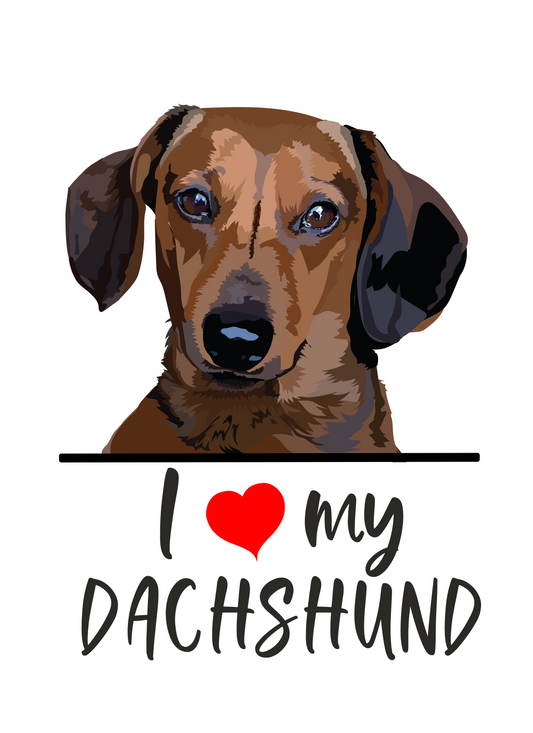 I Love My Dachshund Sticker - 3