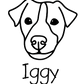 Jack Russell Mom or Custom Name - Vinyl Decal