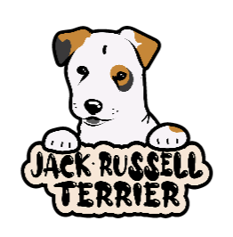 Jack Russell Terrier - Sticker #2