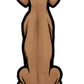 English Pointer Sticker
