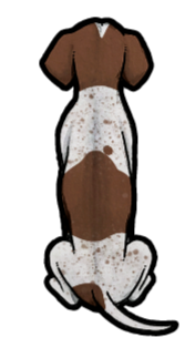 English Pointer Sticker