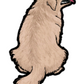 Golden Retriever Sticker #2