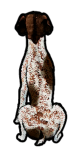 German Shorthaired Pointer - Sticker #2