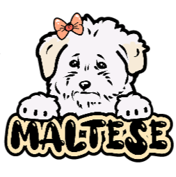 Maltese Sticker #2