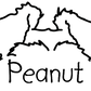 Schnauzer Mom or Custom Name Ears - Vinyl Decal