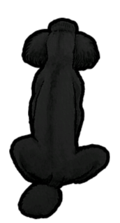 Poodle Sticker #3