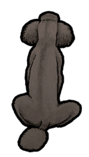 Poodle Sticker #3