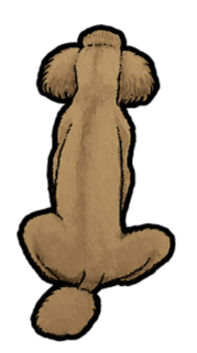 Poodle Sticker #3