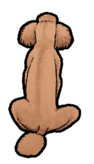 Poodle Sticker #3