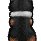 Corgi Sticker #2