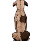 Catahoula Sticker