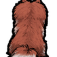 Pomeranian Sticker