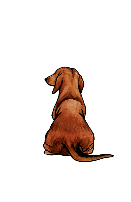 Dachshund Sticker - 2