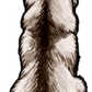 Siberian Husky Sticker