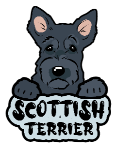 Scottish Terrier - Sticker