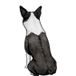 Boston Terrier Sticker