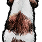 Shih Tzu - Sticker #3