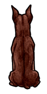 Miniature Pinscher Sticker