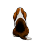 Basset Hound Sticker