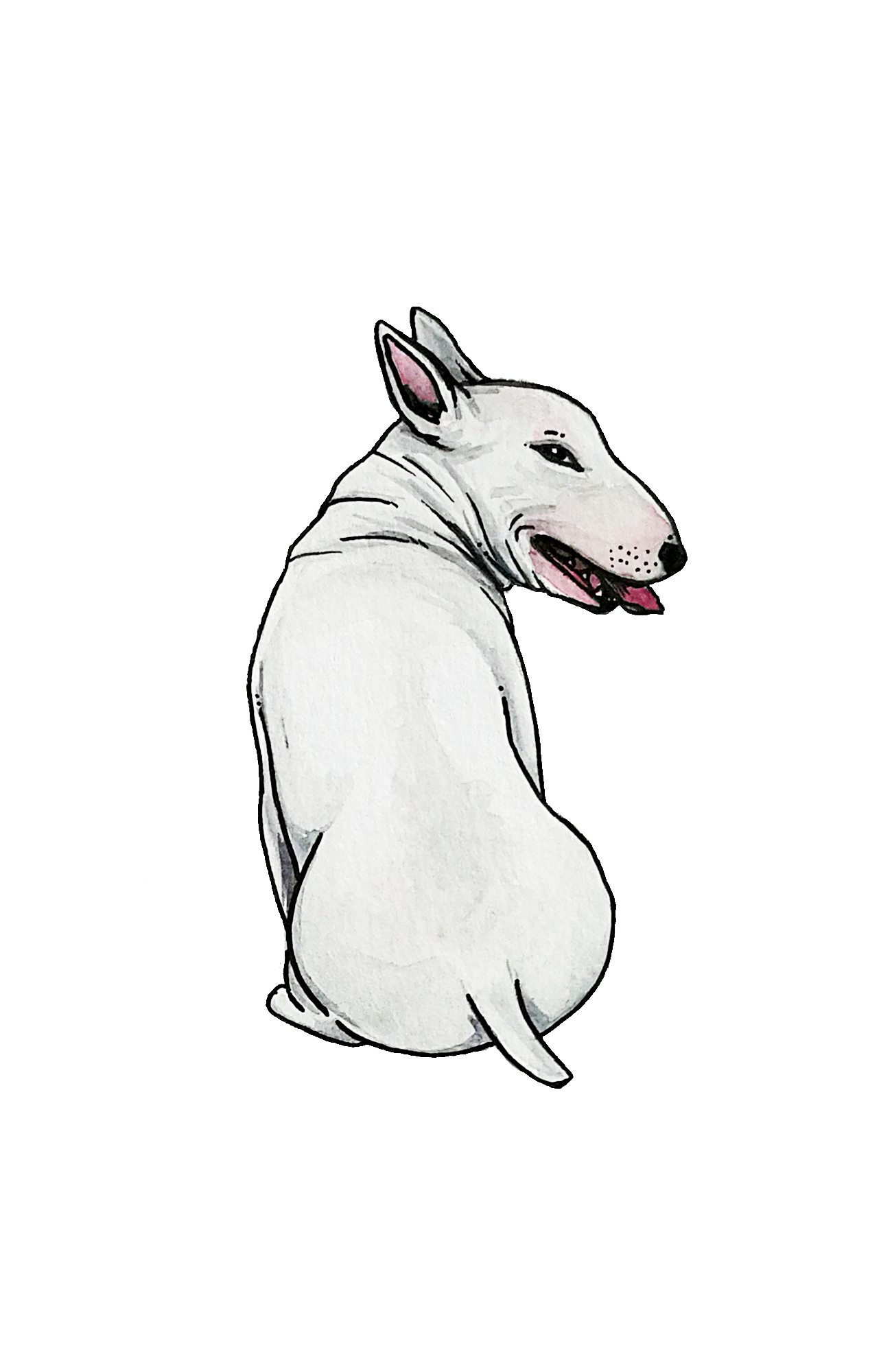 Bull Terrier - Sticker