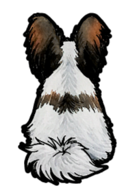 Papillon Sticker