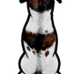 Jack Russell Terrier - Sticker