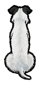 Fox Terrier - Sticker