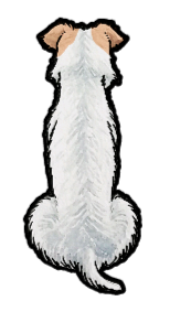 Fox Terrier - Sticker