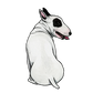 Bull Terrier - Sticker