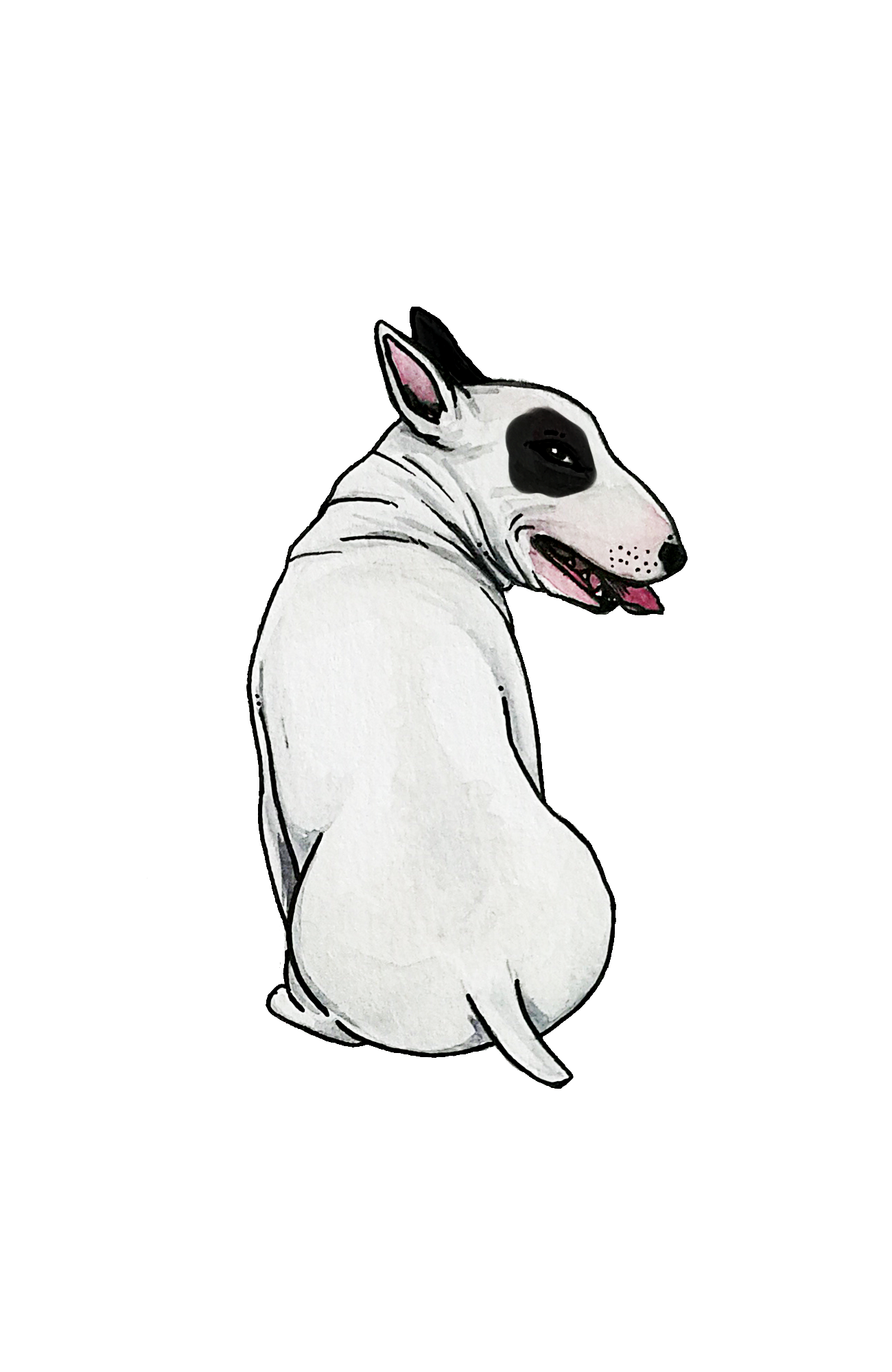 Bull Terrier - Sticker