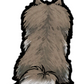 Pomeranian Sticker